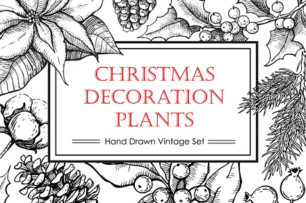 Hand Drawn Christmas Plants.