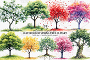 Watercolor Spring Tree Clipart PNG, an Illustration by Canvas Craft (Thumbnail 1 of 7)