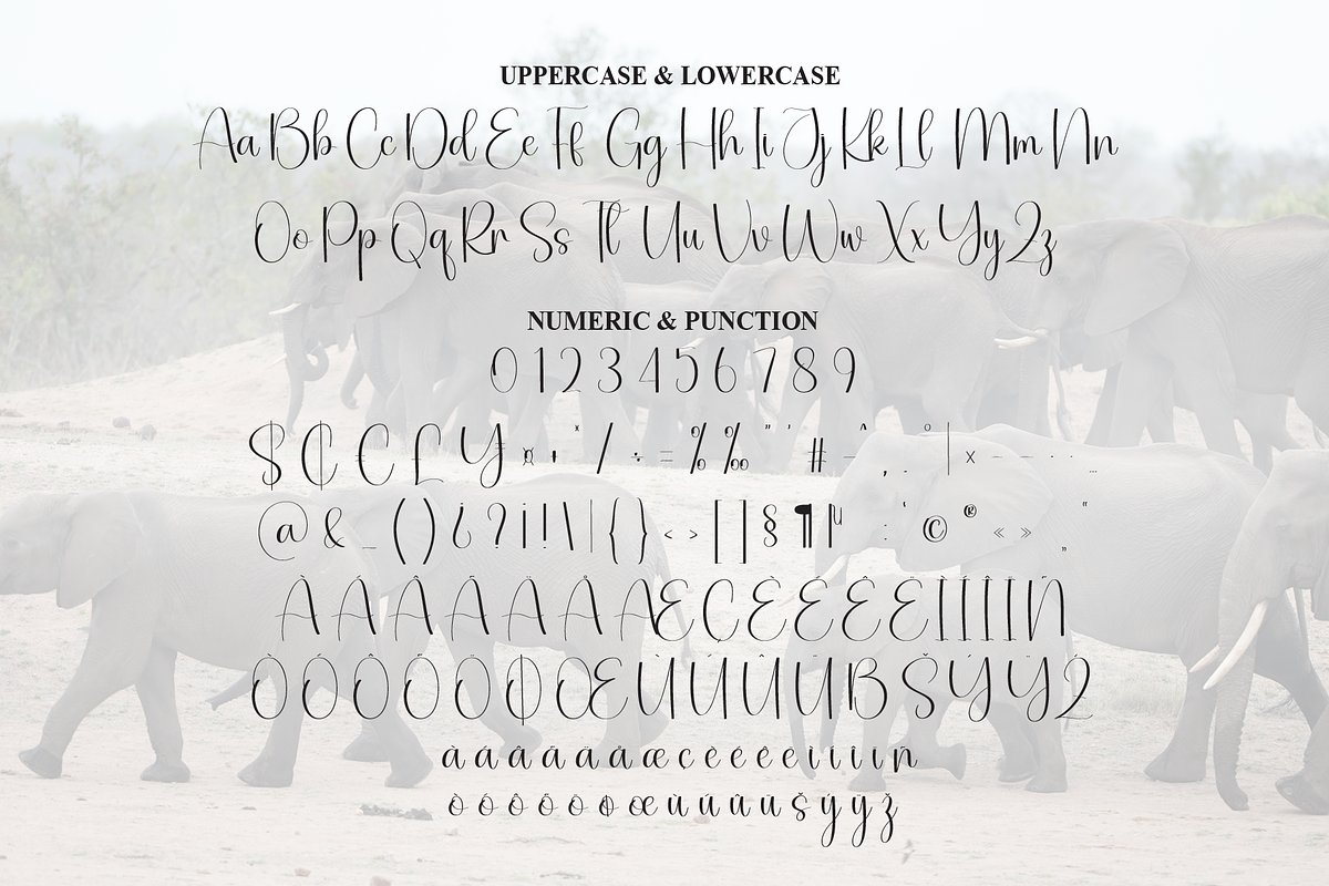 Elephant | Script Font, a Handwritten Font by Scratchones (Photo 7 of 9)