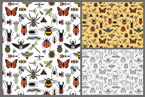 Insects Set