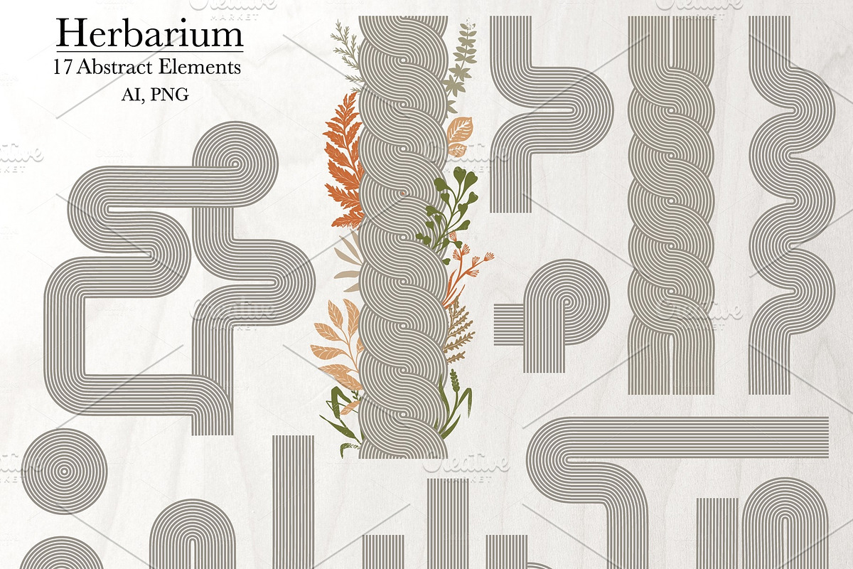 HERBARIUM. Vector set, a Pattern Graphic by Irina Skaska (Photo 12 of 12)