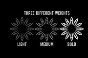 Geometric & Mandala Collection, an Illustration by Alpha Mike Foxtrot (Thumbnail 4 of 9)