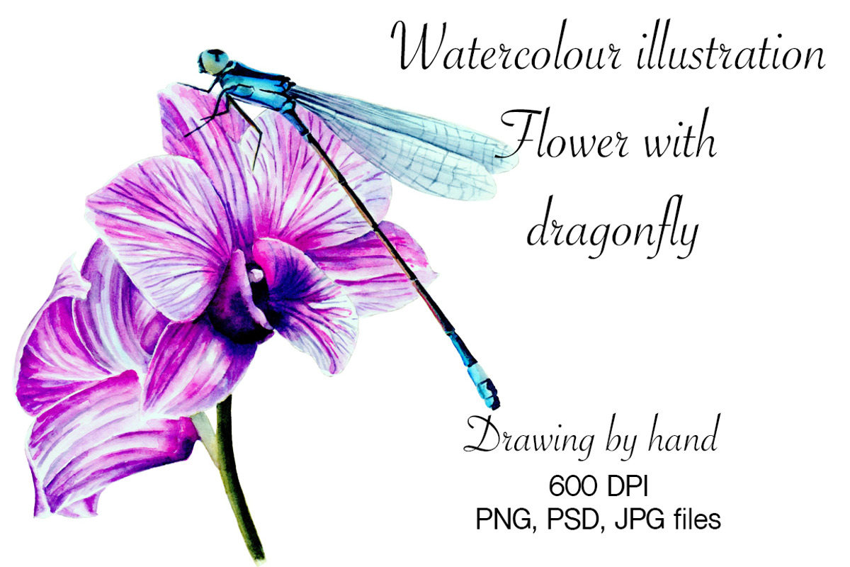Watercolour dragonfly on flower, a Decorative Illustration by Verlena's Corner