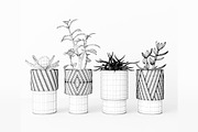 Decorative Plants, a Furniture 3D Model by 3DCargo (Thumbnail 7 of 9)