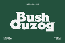 Bush Quzoq Font | Bold Chunky Serif