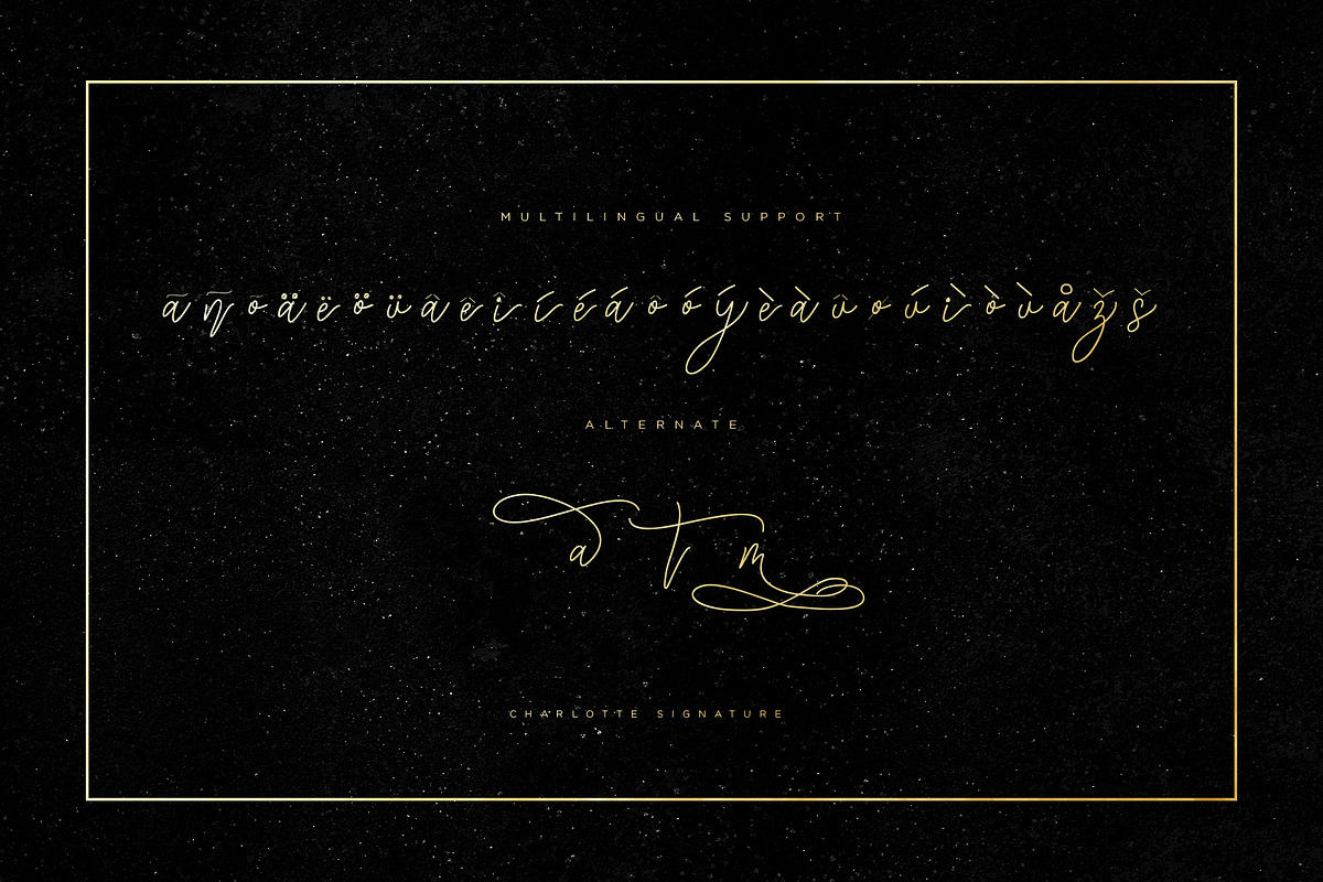 Charlotte Script, a Script Font by Chocotype Std (Photo 7 of 10)