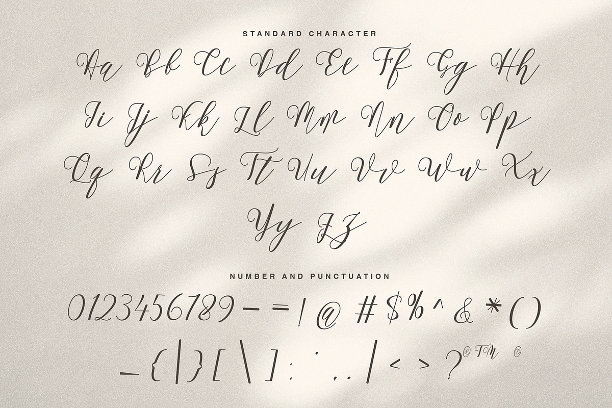Amstromato Script Signature, a Handwritten Font by Portocraft (Photo 8 of 10)