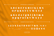Royal Tomato – Display Retro Serif F, a Serif Font by BrandSemut (Thumbnail 9 of 10)