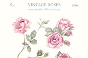Bows and Roses. Vintage watercolor., a Decorative Illustration by Ooh Lily (Thumbnail 11 of 14)