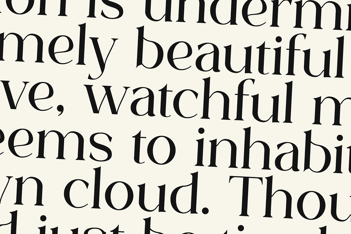 Blureigh Typeface - Hitype, a Serif Font by Hitype (Photo 4 of 10)
