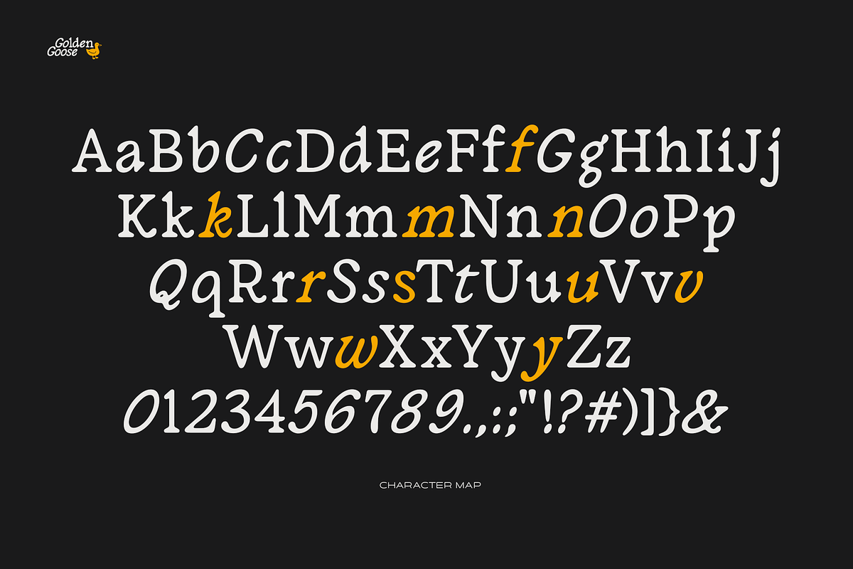 Golden Goose – Italic Infused Serif, a Serif Font by Unio Designs (Photo 2 of 12)
