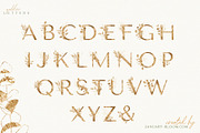 watercolour luxury foliage gold leaf, a Texture Illustration by January Bloom (Thumbnail 13 of 14)