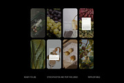 Gut Health Instagram Template, a Social Media Template by Terraa Studio Design (Thumbnail 3 of 10)
