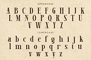 Lamoonze - Serif Display Font, a Serif Font by Randi Irvan | Rvandtype (Thumbnail 12 of 14)