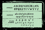 Handmade Font Collection Bundle, a Serif Font by StoricType (Thumbnail 23 of 34)