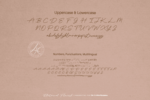 Rhetorical Flourish Font