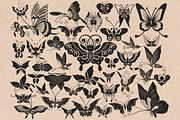 Butterfly Stamps for Procreate, a Brush Add-On by TheWhiteCatLab (Thumbnail 7 of 8)