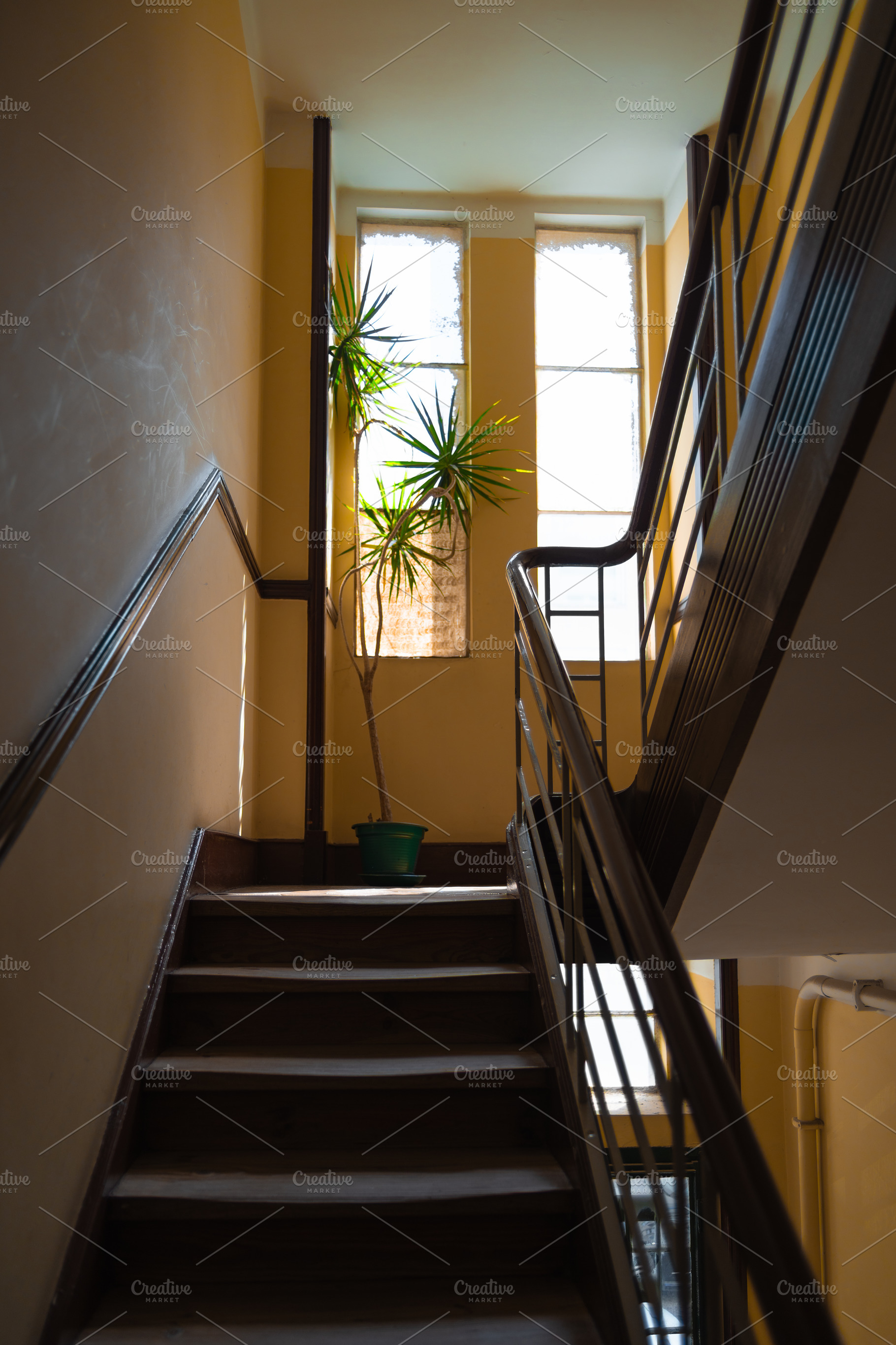Sunlit stairwell with potted plant, an Architecture Photo by SkyNext