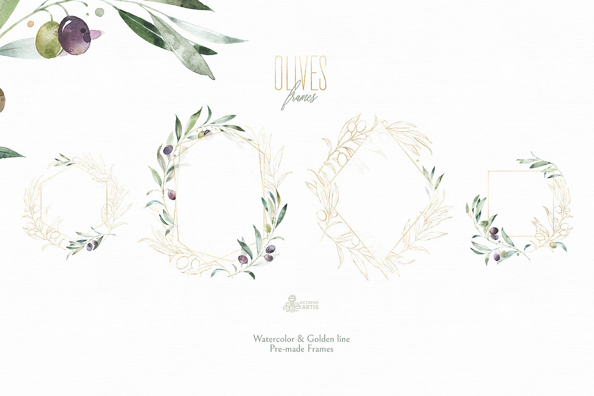 Olives. Watercolor Collection, a Decorative Illustration by OctopusArtis (Photo 3 of 17)