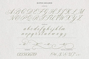 Jane Eyre - Luxury Script Font, a Script Font by AndrewPixelType (Thumbnail 16 of 16)