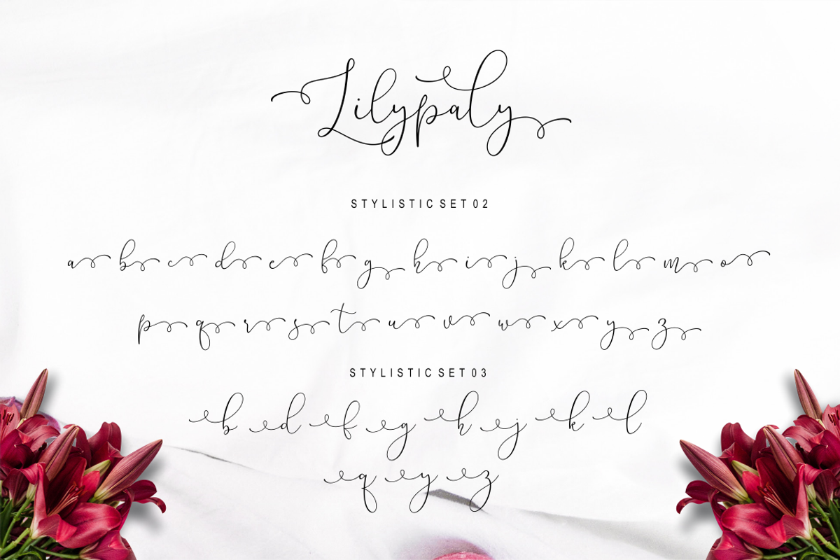 Lilypaly - Handlettering Font, a Script Font by Sronstudio (Photo 17 of 19)