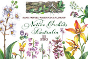 Native Orchids Flowers in  Australia, an Object Illustration by FITALARTSNEDIGI (Thumbnail 1 of 7)