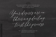 Bella Luna | Feminine Script Font, a Script Font by Pink Coffie (Thumbnail 23 of 30)