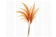 Dried Pampas Grass, a Decorative Illustration by Bloom Craft Creations (Thumbnail 6 of 10)