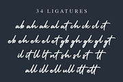 Holiday - Script Handwritten Font, a Script Font by alphArtype (Thumbnail 4 of 13)