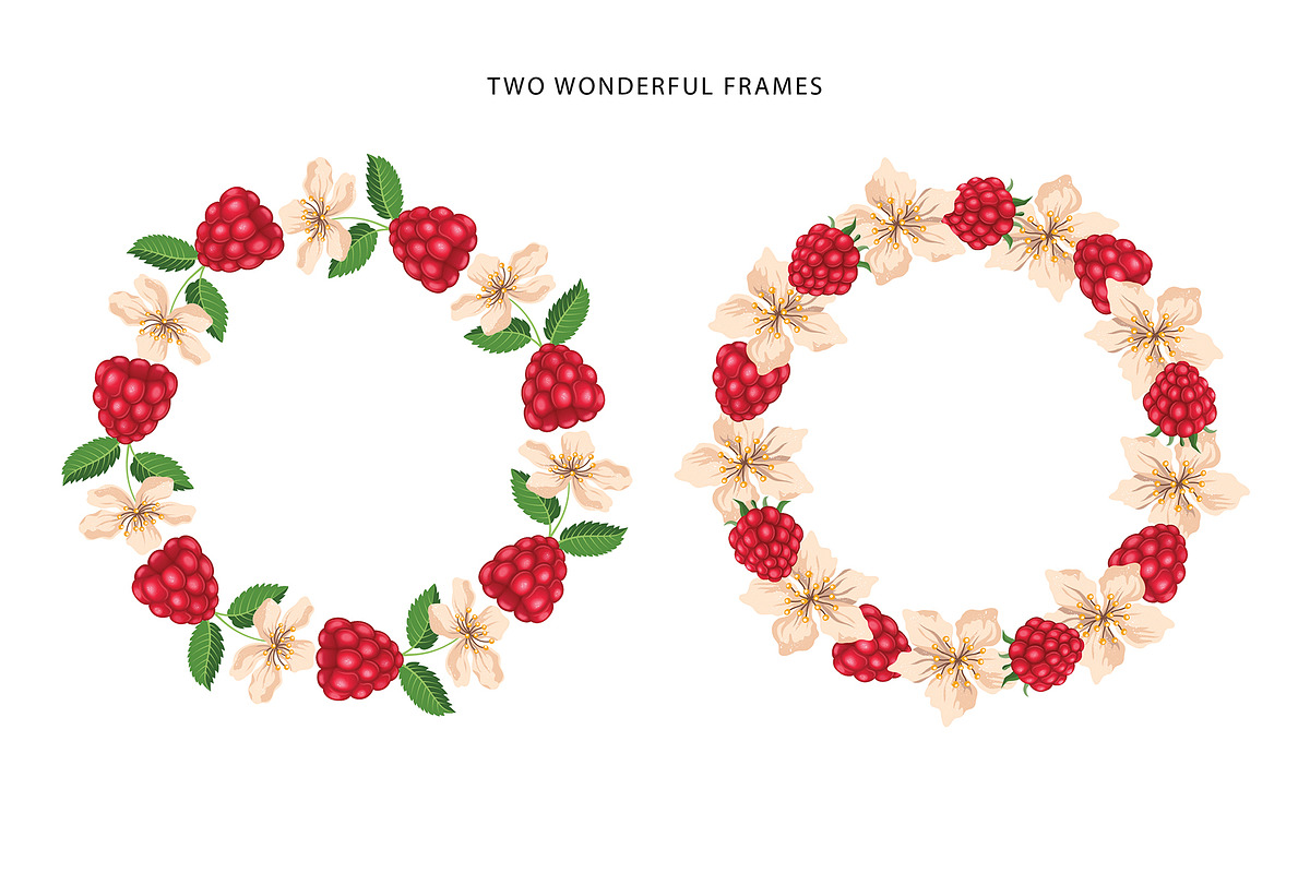 Delicious raspberries vector set, a Graphic by natamastery (Photo 4 of 8)