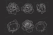 Peony Procreate Tattoo Brush Set, a Brush Add-On by Lucrumplus (Thumbnail 10 of 10)