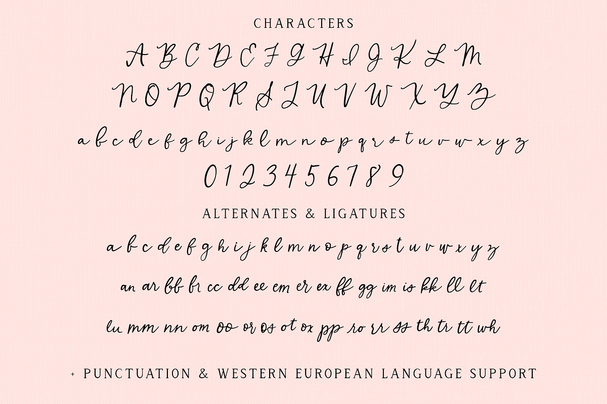 Sugar Muse Script, a Handwritten Font by Beck McCormick (Photo 10 of 10)