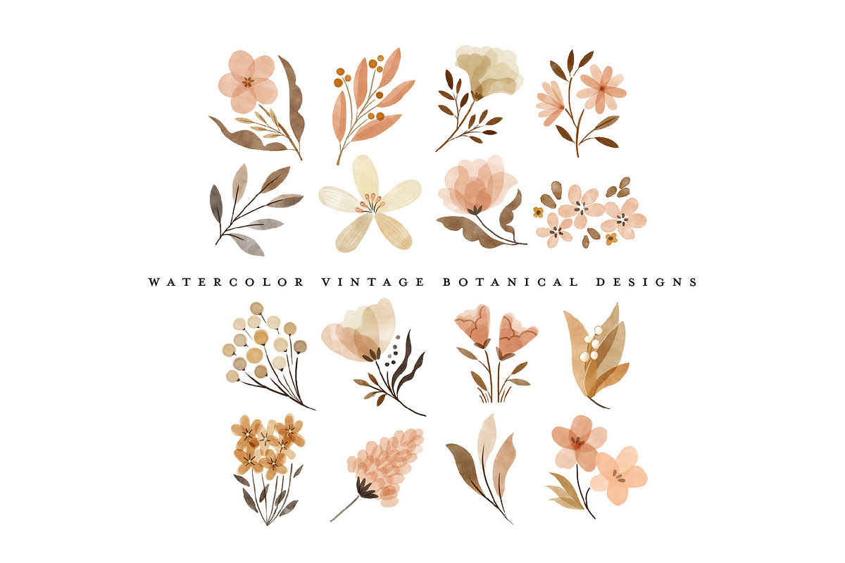 watercolor vintage botanical flowers, an Illustration by beatriceviyiwi (Photo 4 of 10)