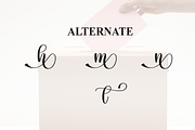 Election | Script Font, a Handwritten Font by Scratchones (Thumbnail 8 of 9)