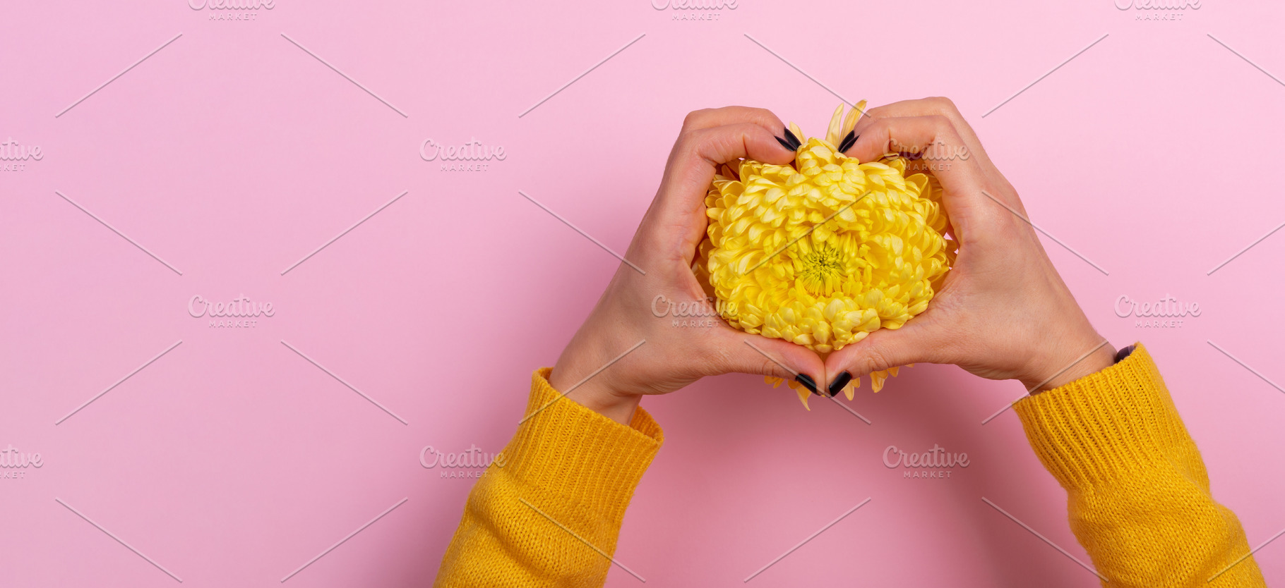Top view of hands in sweater shaping a heart around a yellow chr, a Holiday Photo by Ales Munt