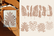 Tropical abstract leaves, a Decorative Illustration by Jeanna Draw (Thumbnail 3 of 15)