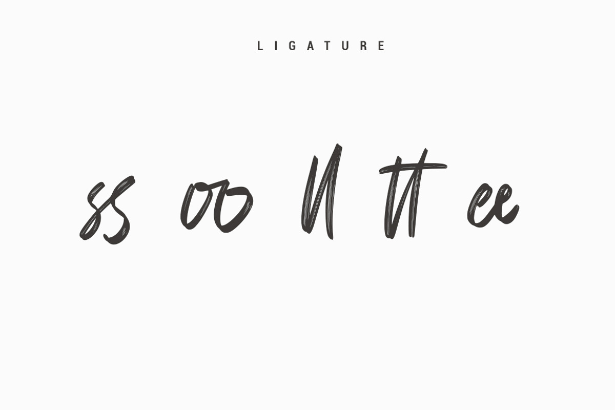 Mattolla - Handbrush Script Font, a Script Font by skiiller studio (Photo 7 of 8)
