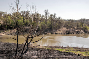 A pond with brown water spring bank, a Nature Photo by Schreibikus