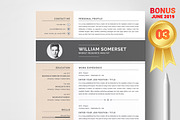 Resume/CV Bundle | 200+ for $29, a Resume Template by ResumeInventor (Thumbnail 60 of 207)