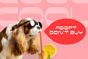 Braxto Display, a Sans Serif Font by Foxtype (Thumbnail 7 of 9)