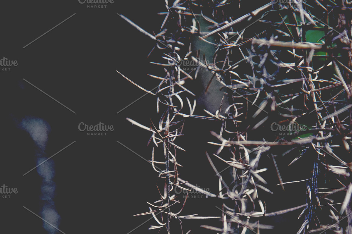 iseeyouphoto NATUREBACKGROUNDS, a Templates & Theme by ISEEYOUPATTERN (Photo 4 of 4)