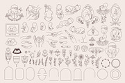 Magic pregnancy feminine pack, a Person Illustration by Alisovna (Thumbnail 3 of 12)