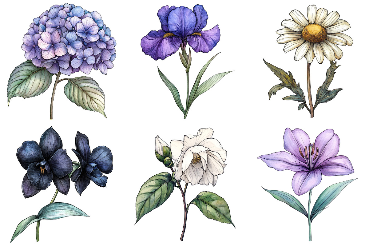 Goth Halloween Wildflowers Clipart, an Illustration by Daily.Designs (Photo 3 of 5)