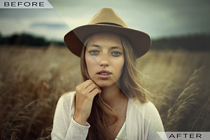 110 Premium Lightroom Preset Bundle