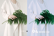 Heathen Presets for Desktop & Mobile, an Action Add-On by Presetrain Co. (Thumbnail 5 of 7)