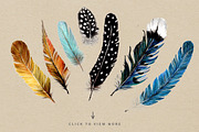 Feathers and Berries, an Illustration by Ingrid Marais Design (Thumbnail 2 of 5)