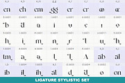 Belgan Aesthetic, a Serif Font by INKSUN™ (Thumbnail 13 of 16)