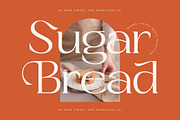 Sugiest Modern Editorial Serif, a Serif Font by timelesstype.co (Thumbnail 15 of 20)