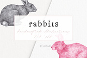 Hand drawn Rabbits Illustrations, an Animal Illustration by Greek fonts by nantia.co (Thumbnail 1 of 6)