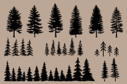 Pine Trees 102 illustrations, an Illustration by Jake & Meg (Thumbnail 3 of 5)